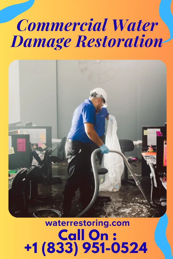 Commercial Water Damage Restoration in Lakeland Shores, MN