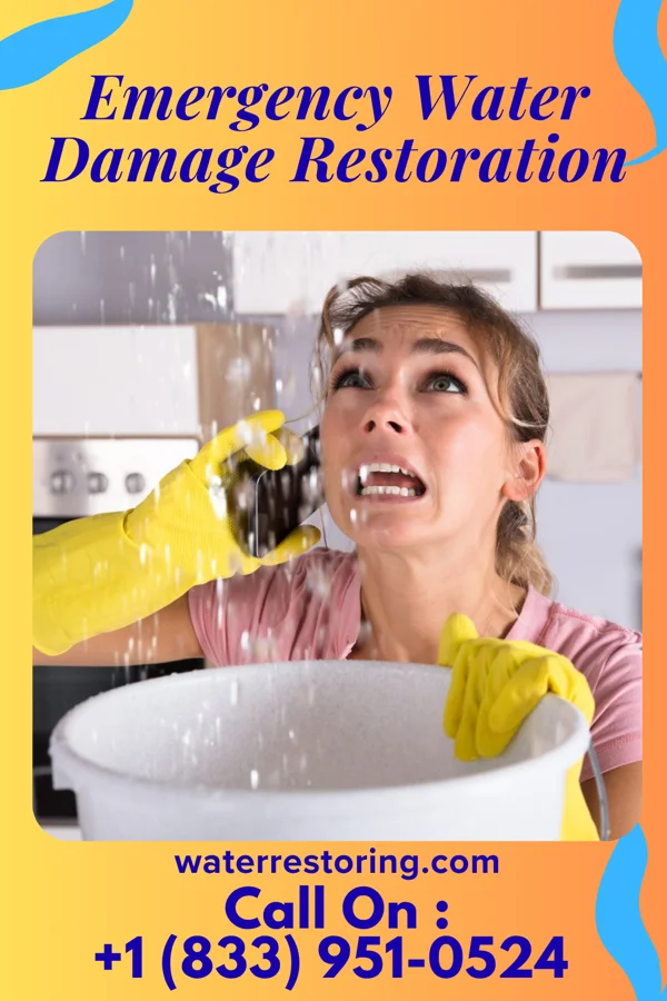 Emergency Water Damage Restoration in Lakeland Shores, MN