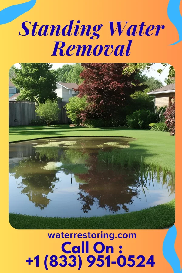 Standing Water Removal in Lakeland Shores, MN
